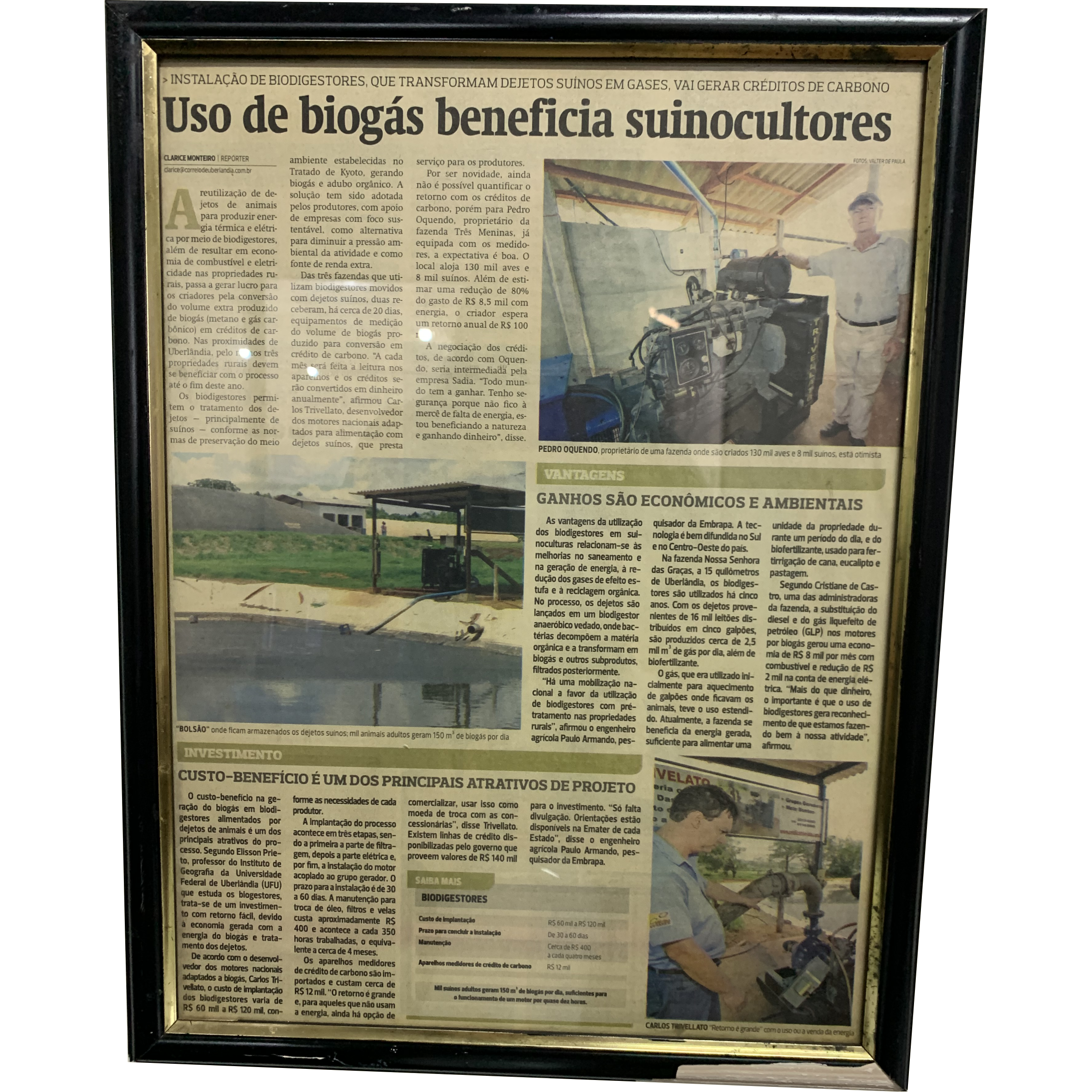 Uso de biogás beneficia suinocultores